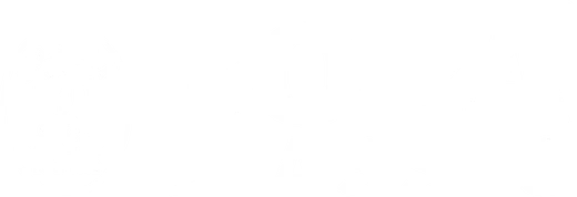 Bora Classes logo, established 1982