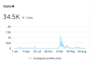 Instagram profile visits: 34.5K, up 1.7K percent