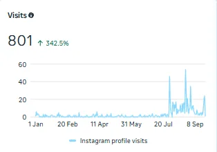 Instagram profile visits: 801, up 342.5%