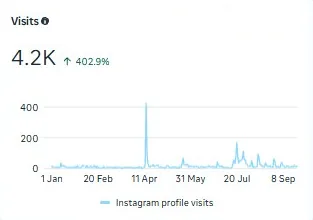 Instagram profile visits: 4.2K